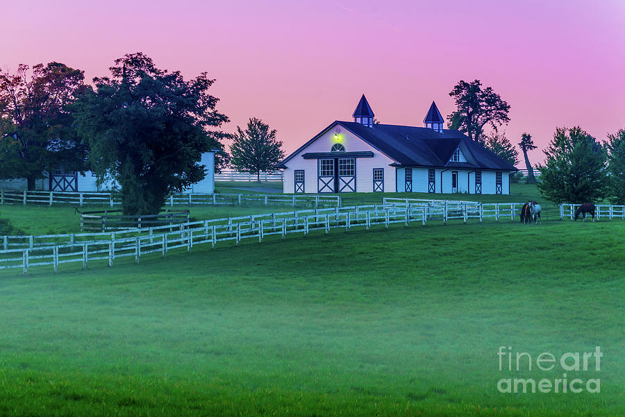Morning - Kentucky Bluegrass Horse Farm - Lexington  Photograph by Gary Whitton
