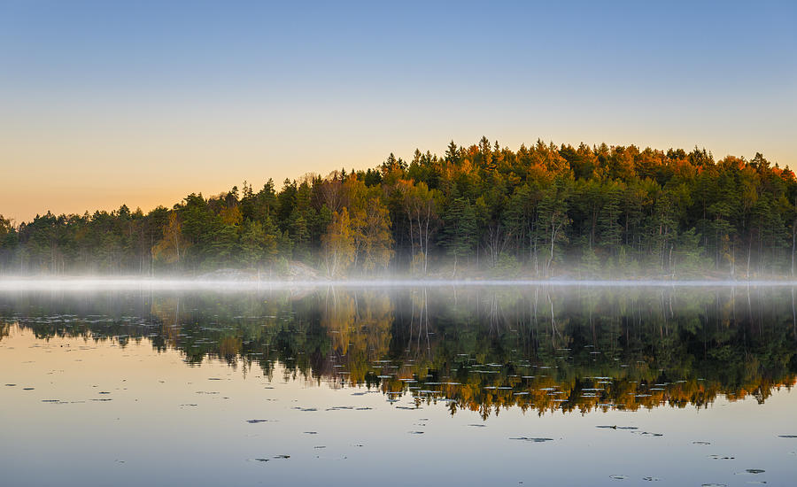 Morning lake with fog in autumn colors Photograph by Martin Wahlborg