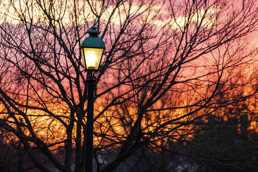 Morning Lamplight  Photograph by Rachel Morrison