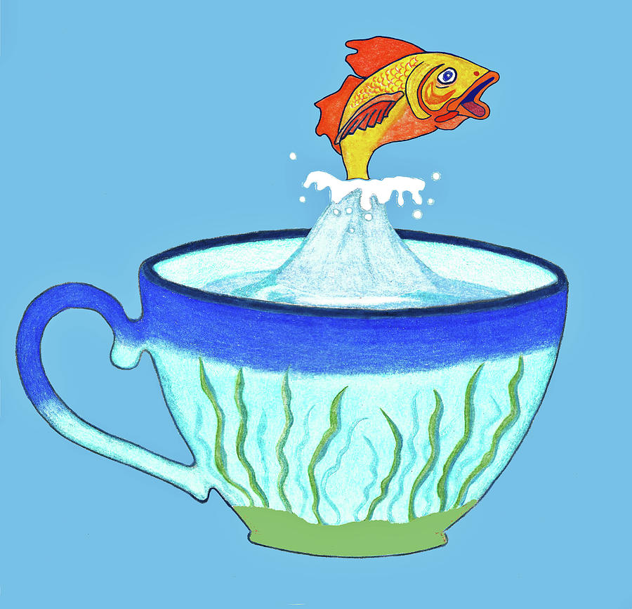 Goldfish Drawing - Morning Leap by Lorena Cassady