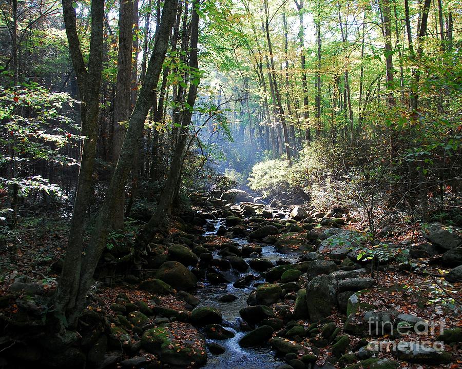 National Parks Photograph - Morning Light 1 by Mel Steinhauer