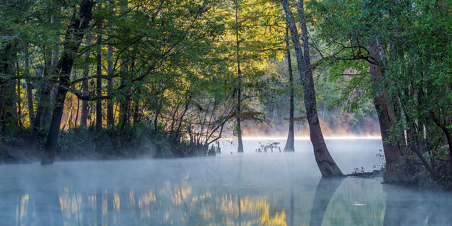 Morning Light at Ginnie Springs Panorama Photograph by Stefan Mazzola