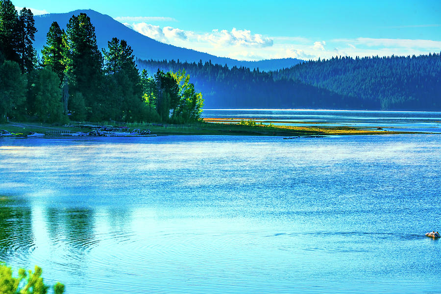 Morning LIght At Lake Almanor Photograph by Her Arts Desire