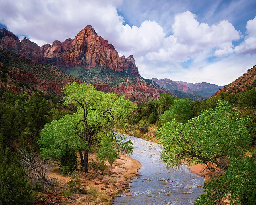 Morning Light at the Watchman, Zion National Park Photograph by Susan ...