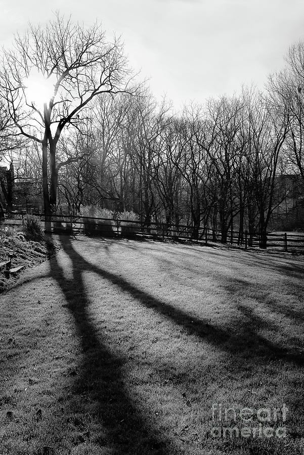 Morning Light Black And White Photograph