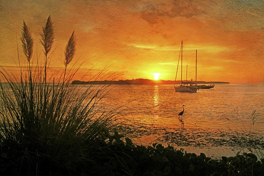 Heron Photograph - Morning Light - Florida Sunrise by HH Photography of Florida