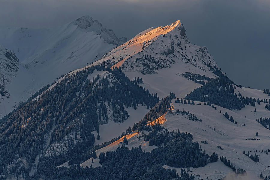 Morning light in a snow storm Photograph by Ulrich Burkhalter