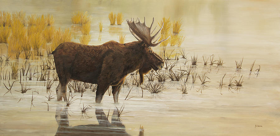 Morning Light - Moose Painting by Johanna Lerwick