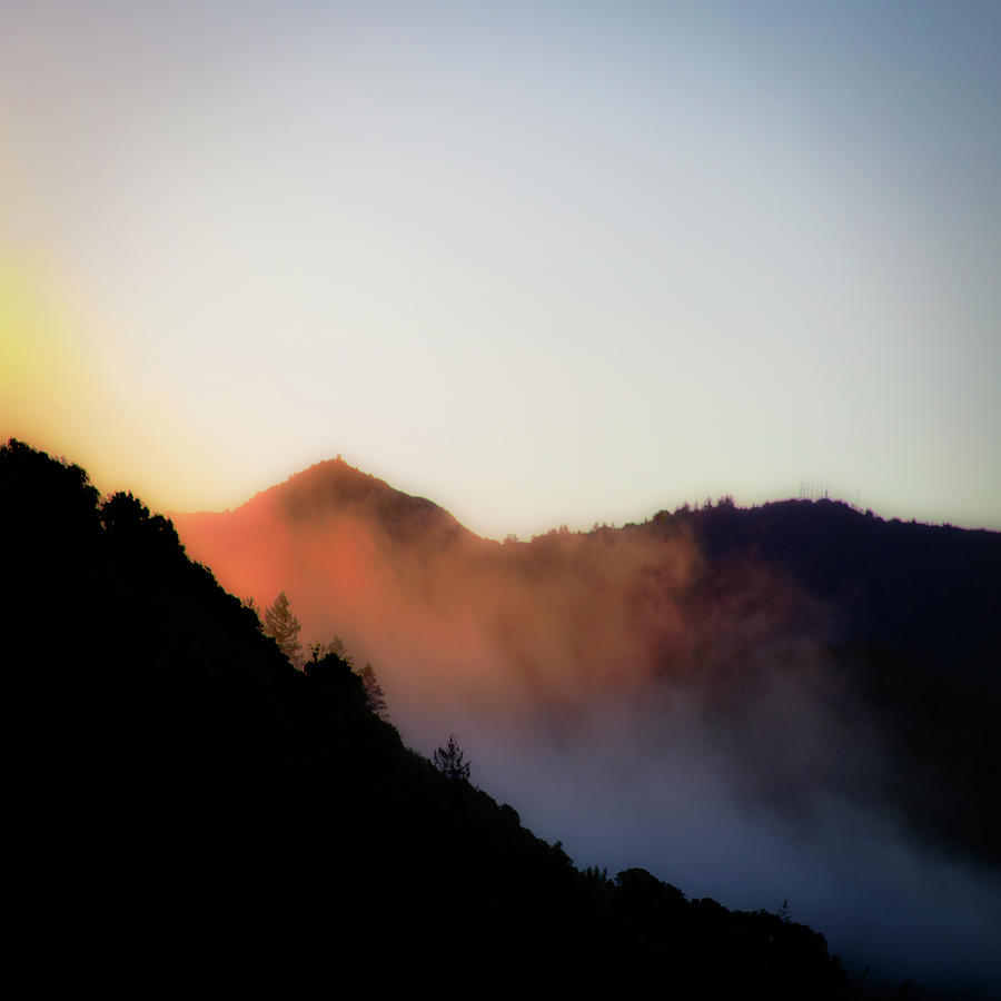 Morning light, Mt. Tamalpais Photograph by Donald Kinney