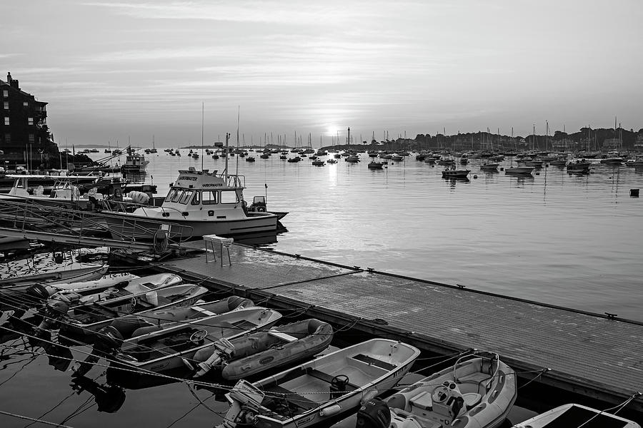 Morning Light on Marblehead Harbor Marblehead Massachusetts Black and WhiteMorning Light on Marblehe Photograph by Toby McGuire