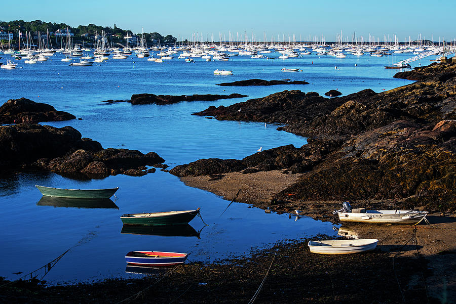 Morning Light on Marblehead Harbor Marblehead Massachusetts North Shore Photograph by Toby McGuire