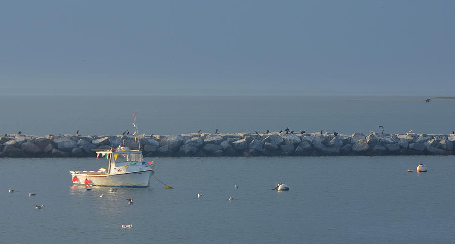 Morning Light on Provincetown Breakwater Photograph by Carla Parris