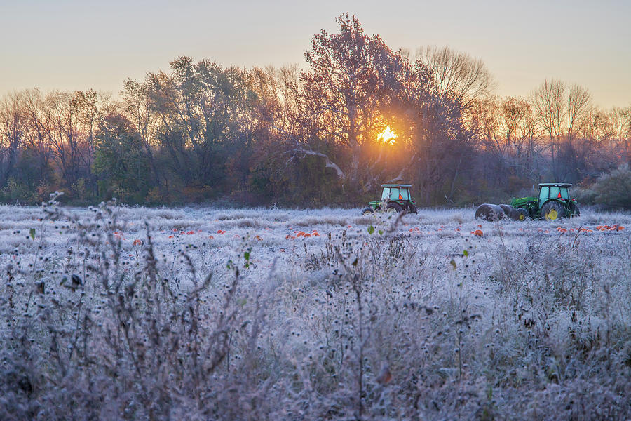 Morning Light over Frosted Field 1 Photograph by Michael Saunders