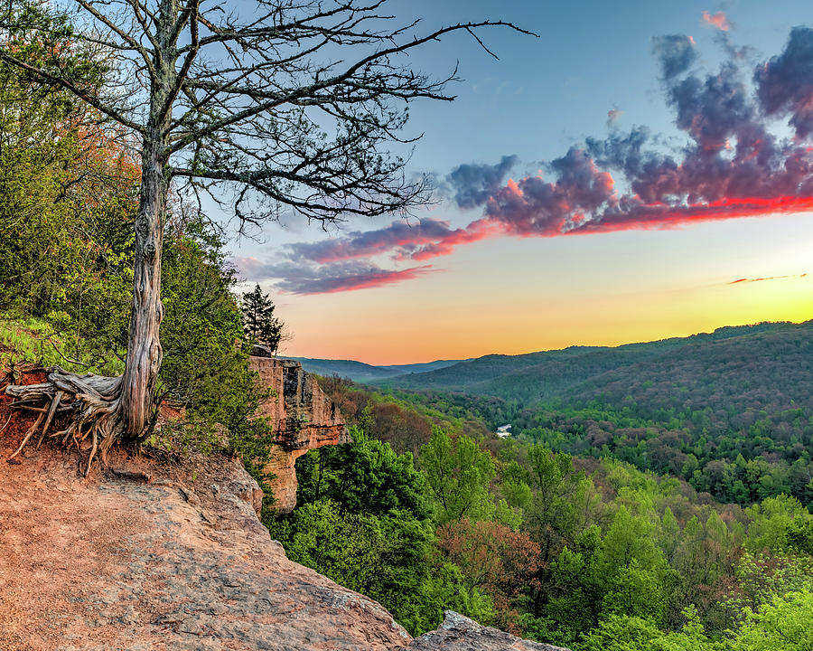 Morning Light Over Yellow Rock Trail Overlook - Northwest Arkansas Photograph by Gregory Ballos