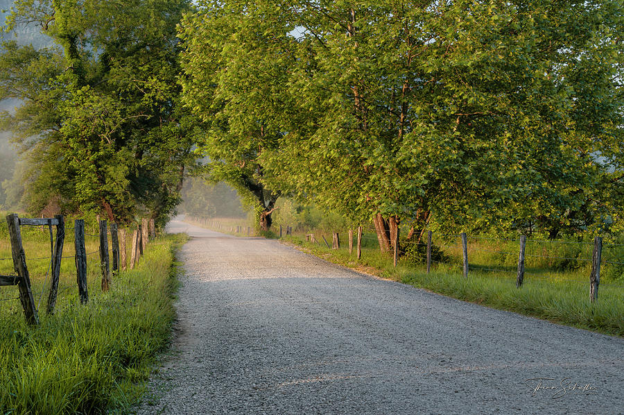 Morning Light Sparks Lane - Cades Cove Tennessee  Photograph by Photos by Thom