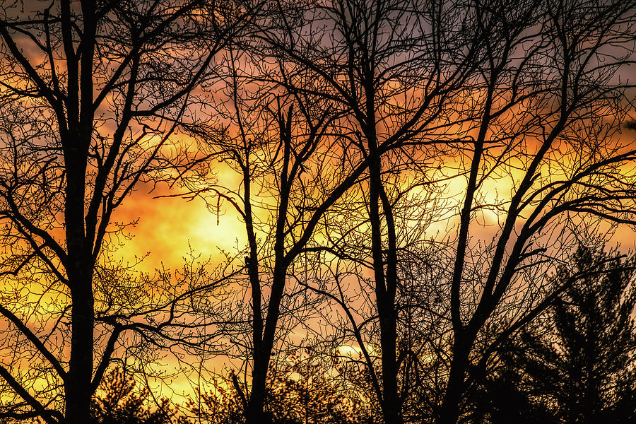Morning Light, Sunrise Silhouettes  Photograph by Jeff Sinon