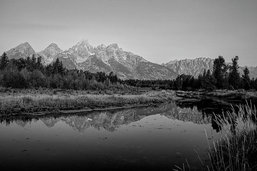 Morning Light Trail to Schwabachers Landing Black and White Photograph by Judy Vincent