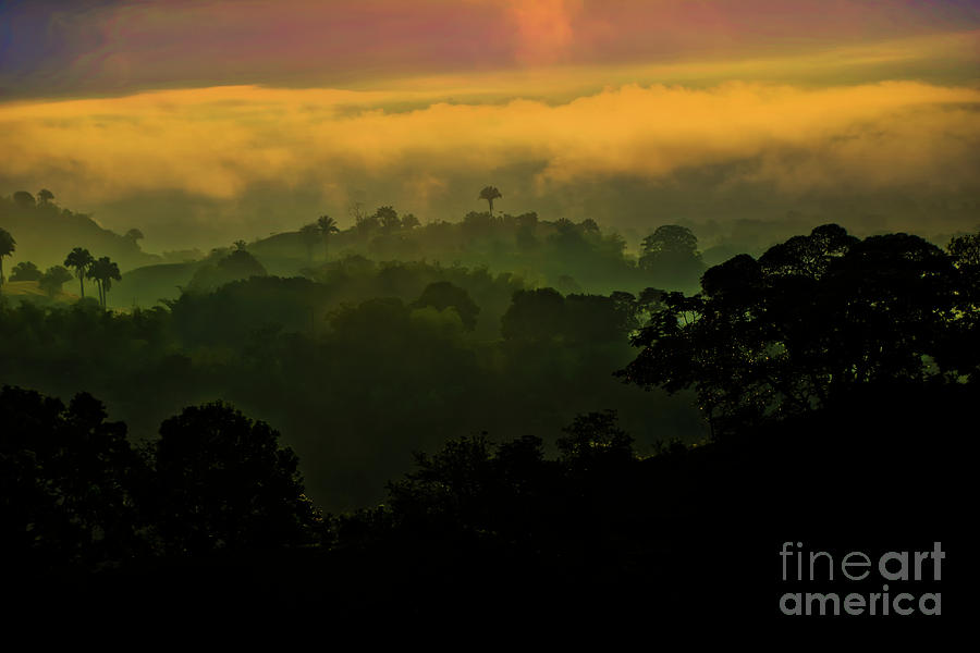 Morning Mist At Dawn Near BugaLaGrande Photograph by Al Bourassa