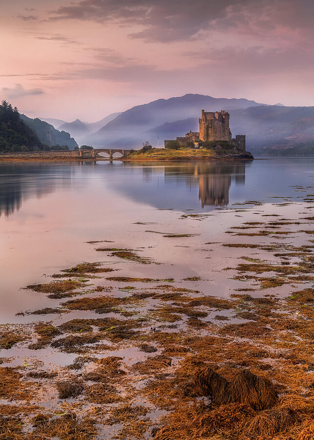 Morning mist at the castle Photograph by George W Johnson Morning mist at the castle Photograph by George W Johnson