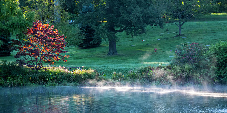 Morning Mist at Willow Pond Photograph by Ken Stampfer