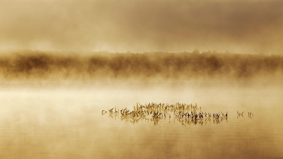 Morning Mist 4154 Photograph by Greg Hartford