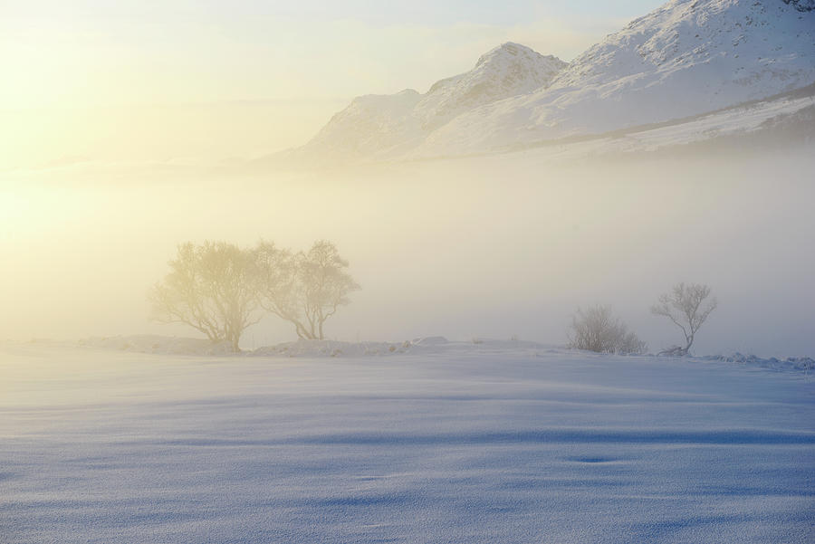 Mountain Photograph - Morning Mist in Lofoten 1 by Dubi Roman