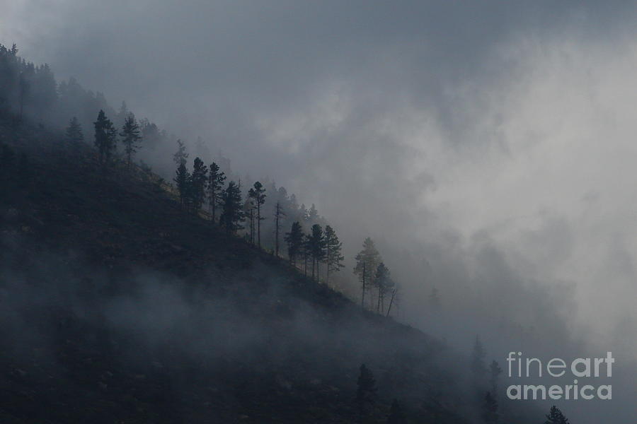 Morning mist Photograph by Ken Kvamme