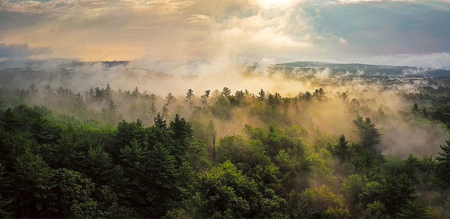 Morning Mist Photograph by Mike Mcquade