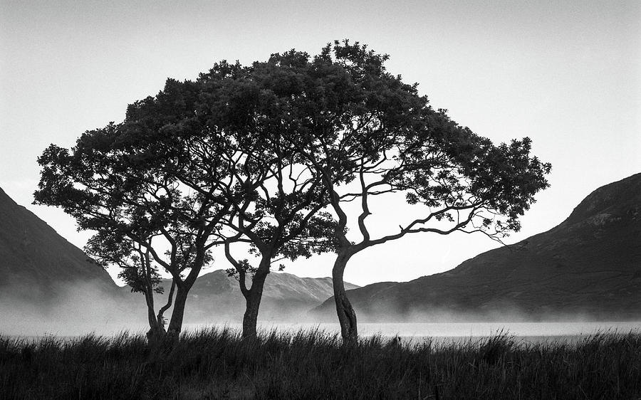 Morning Mist over Crummock Water Photograph by Dave Bowman