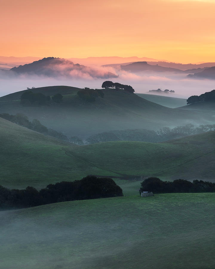 Morning Mist Photograph by Shelby Erickson