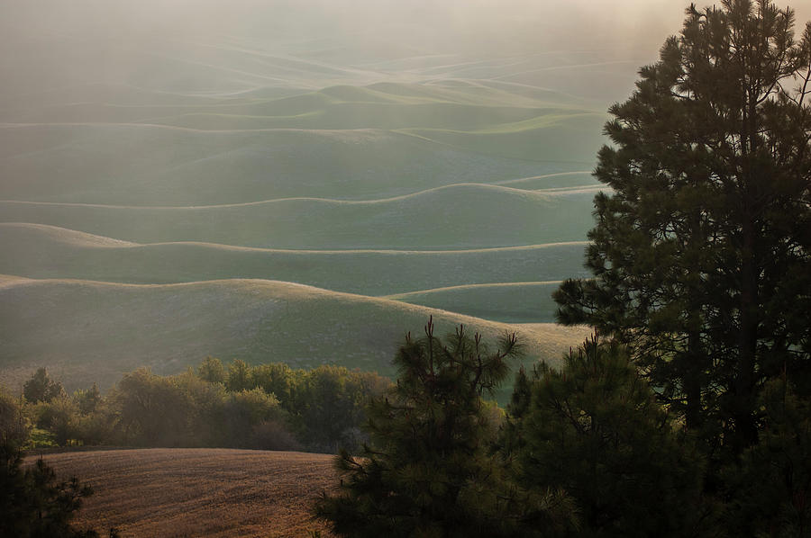 Landscape Photograph - Morning Mist Steptoe Butte by Mary Lee Dereske