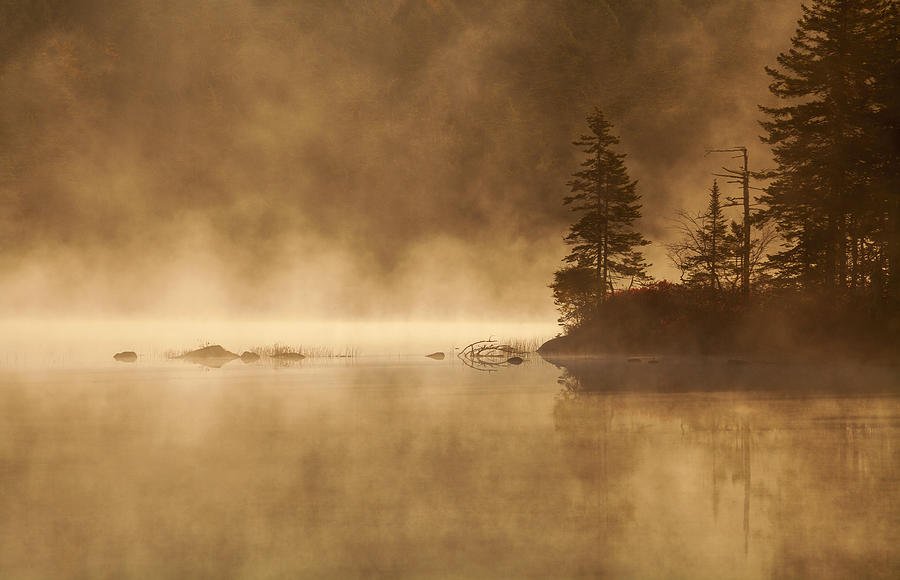 Morning Mists and Shoreline Photograph by Irwin Barrett