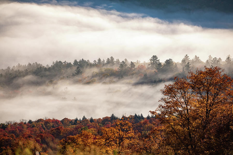 Morning Mountain Fog Photograph by Denise Kopko