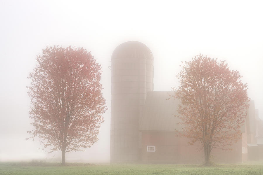 Morning of Fog Photograph by Darylann Leonard Photography