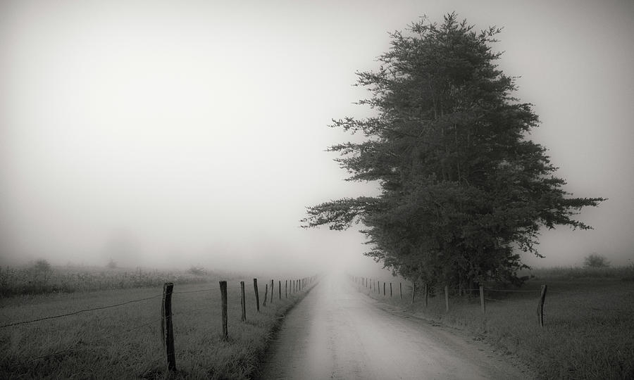 Morning on a Country Road Photograph by David Hilton