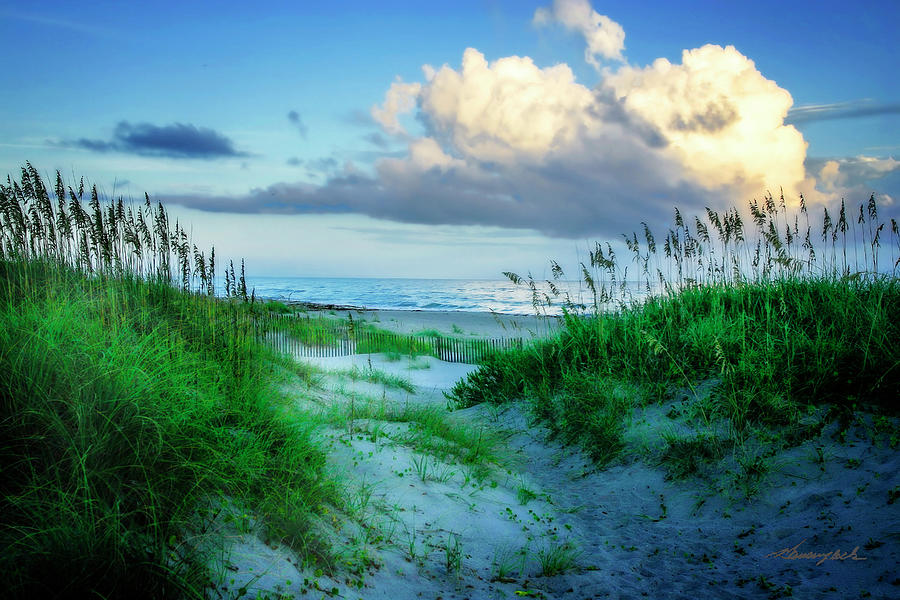 Morning on Atlantic Beach Photograph by Alan Hausenflock