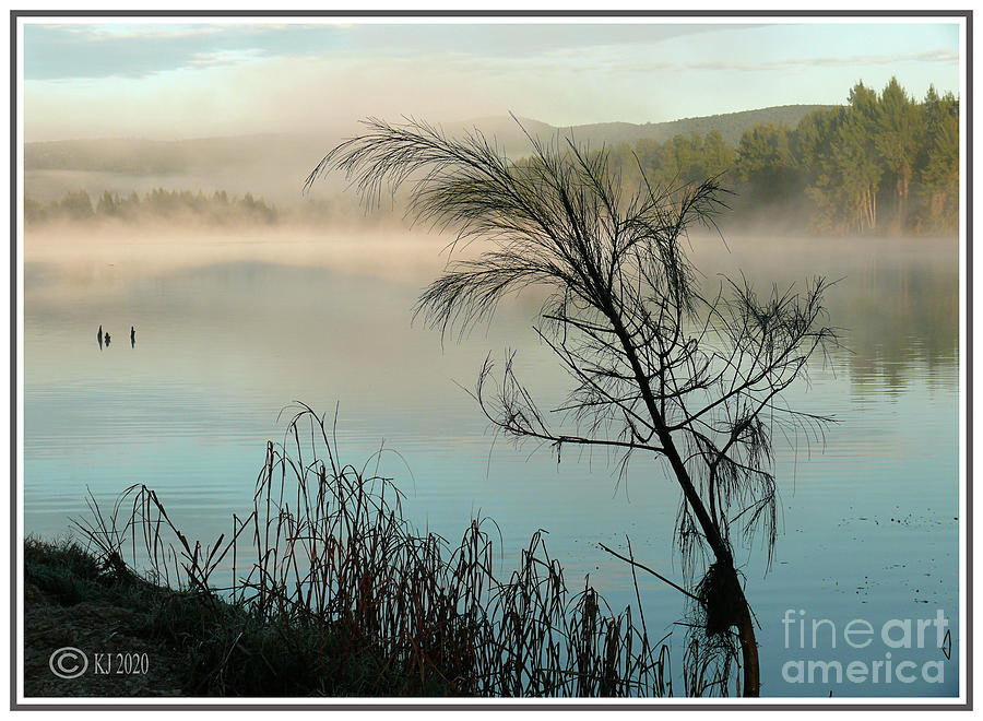 Morning on the Hawkesbury Photograph by Klaus Jaritz
