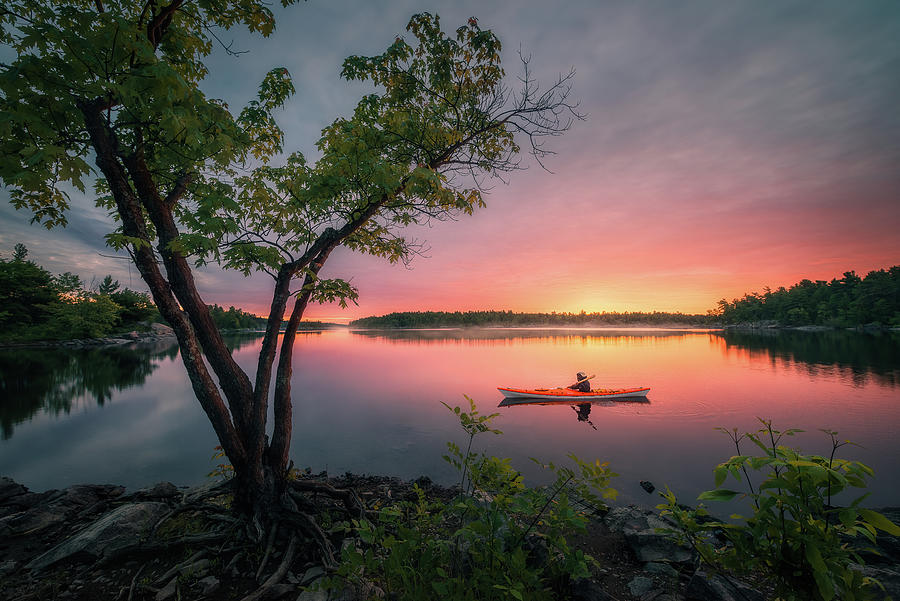 Morning Paddling at French River #2 Photograph by Henry w Liu