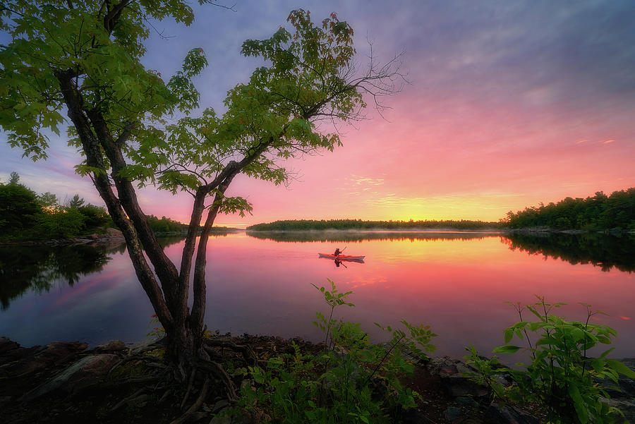 Morning Paddling at French River Photograph by Henry w Liu