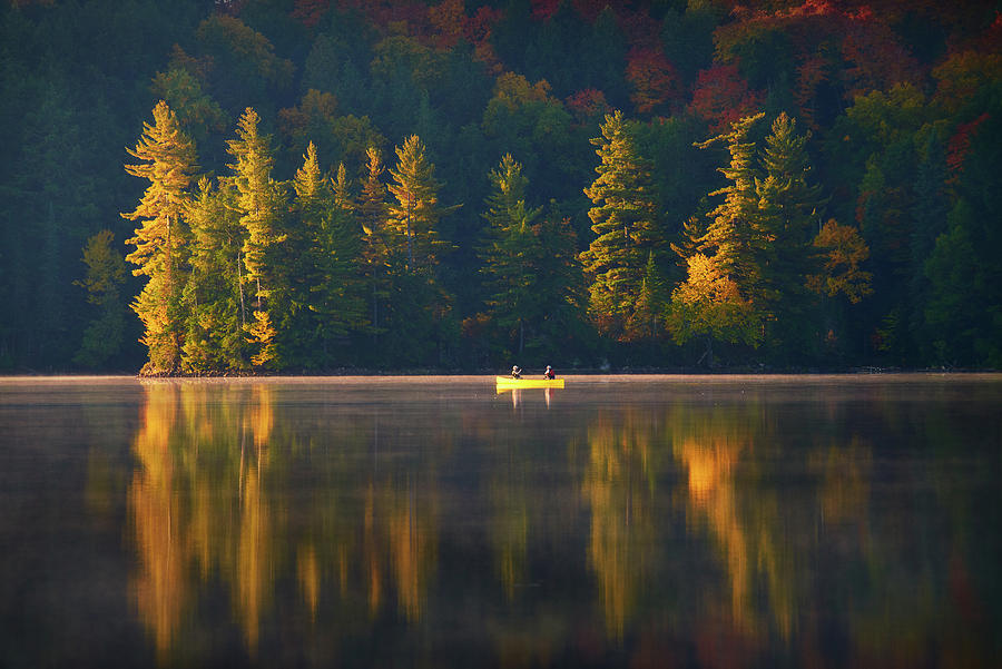 Morning Paddling in Algonquin Photograph by Henry w Liu