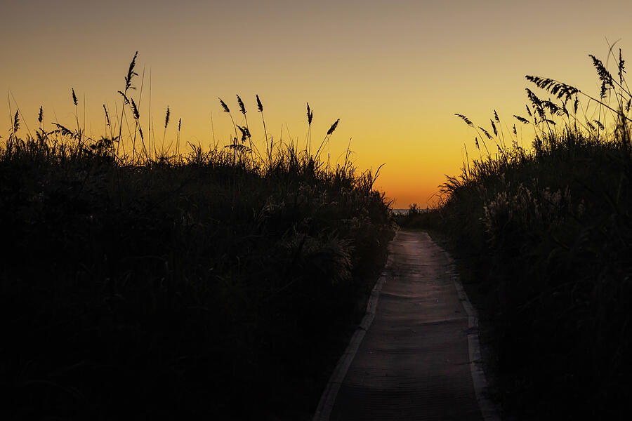 The Morning Path Photograph by Dodie Ross The Morning Path Photograph by Dodie Ross