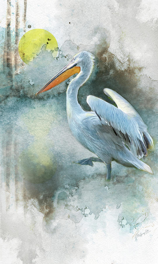 Morning Pelican Painting by Jeanette Mahoney