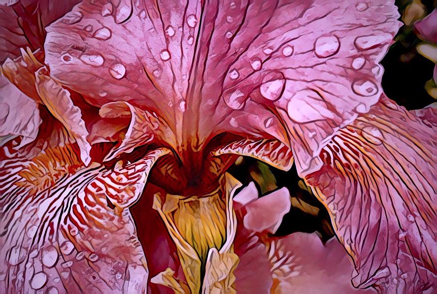 Iris Photograph - Morning Rain in the Garden by Bruce Bley
