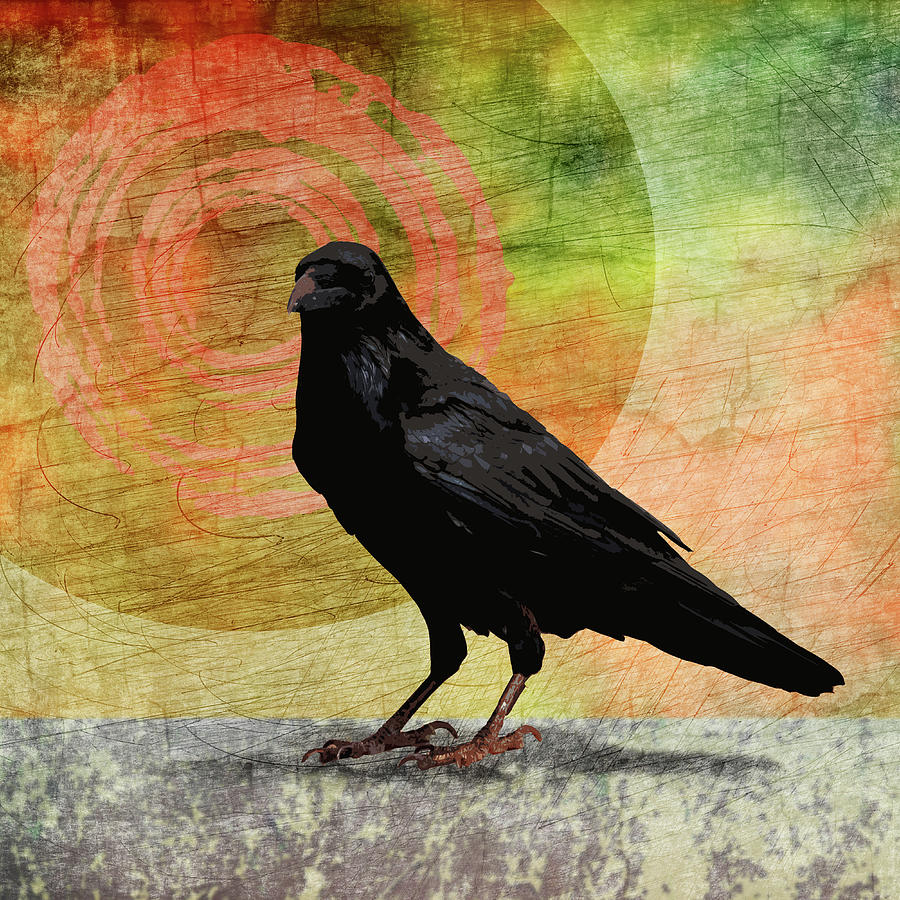 Morning Raven Mixed Media by Nancy Merkle