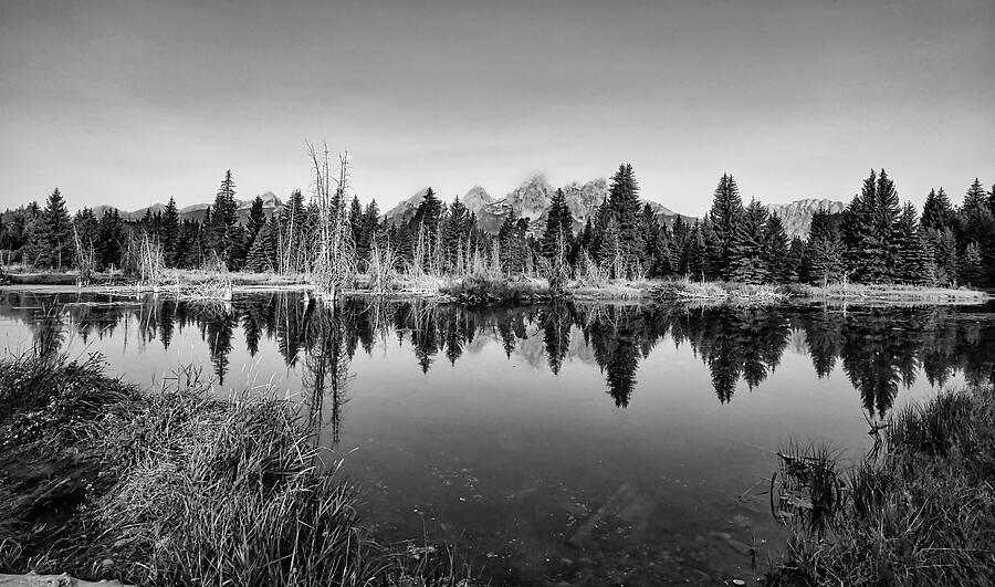 Morning Reflection at Grand Teton National Park 1 Black and White Photograph by Judy Vincent