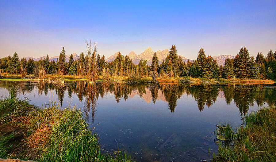 Morning Reflection at Grand Teton National Park 1 Photograph by Judy Vincent