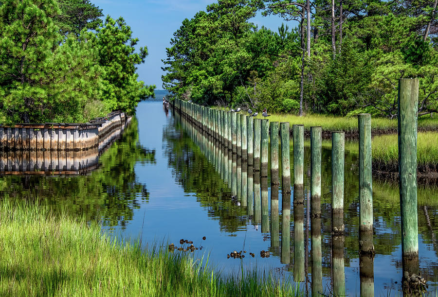 Morning Reflections, Chincoteague Island Photograph by Marcy Wielfaert