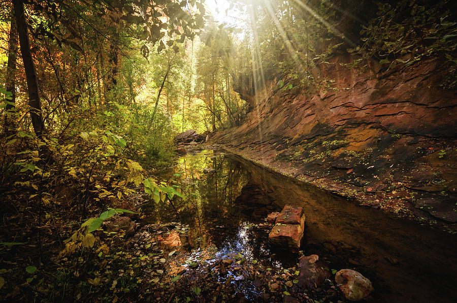 Fall Photograph - Morning Reflections On The Creek by Saija Lehtonen