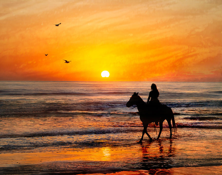 Morning Ride-Limited Edition Photograph by Shara Abel