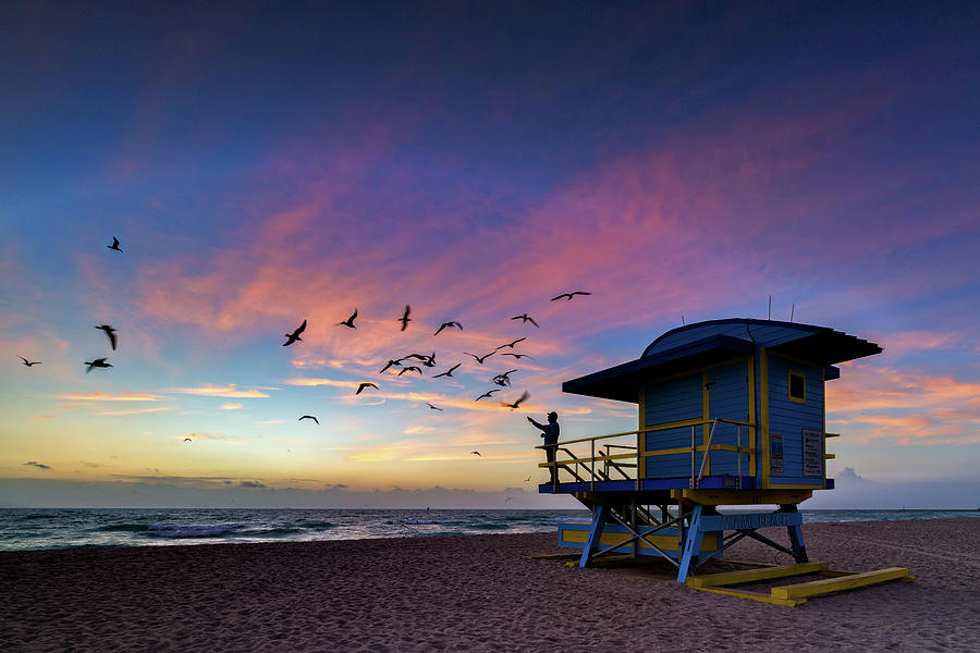 Seagull Photograph - Morning Ritual on South Beach by Rick Berk